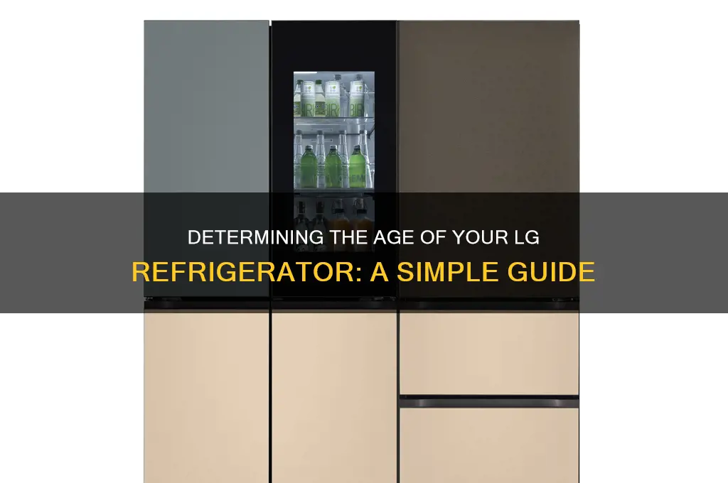 how can i tell how old is an lg refrigerator