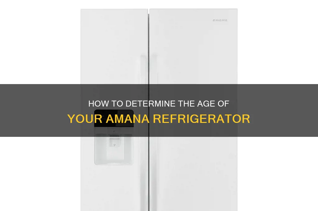 how can i tell how old my amana refrigerator is
