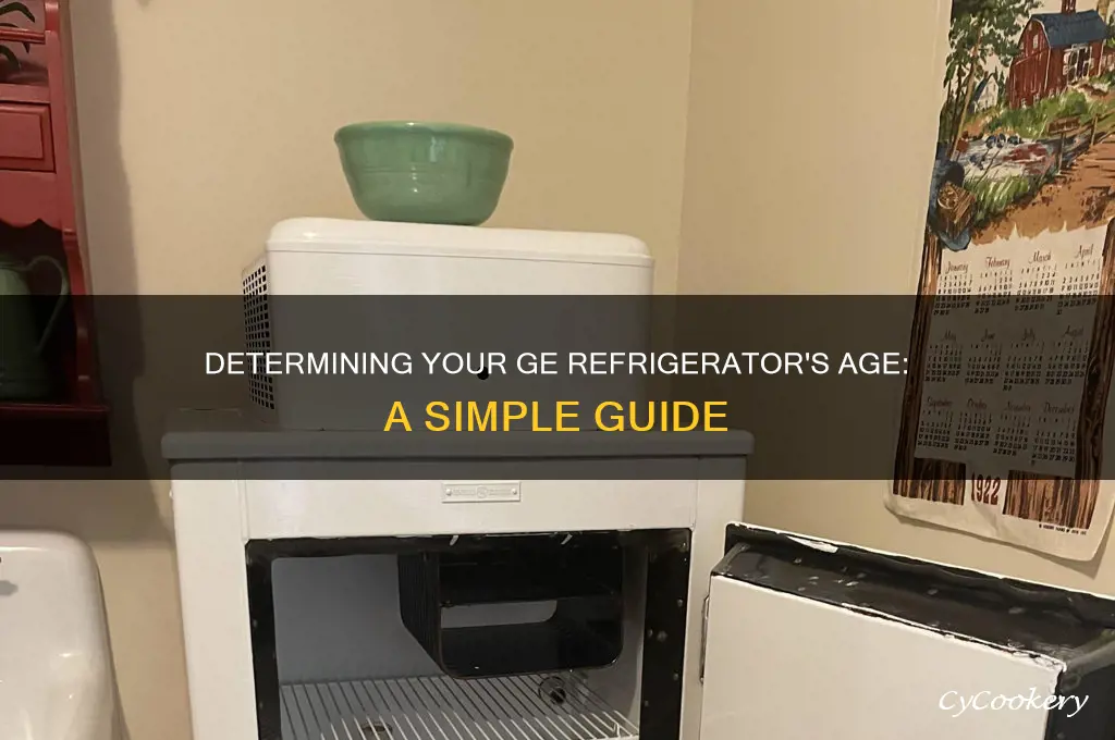 how can i tell how old my ge refrigerator is