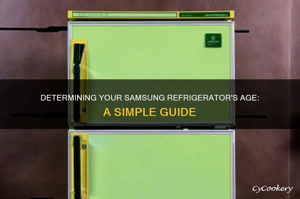 how can i tell how old my samsung refrigerator is