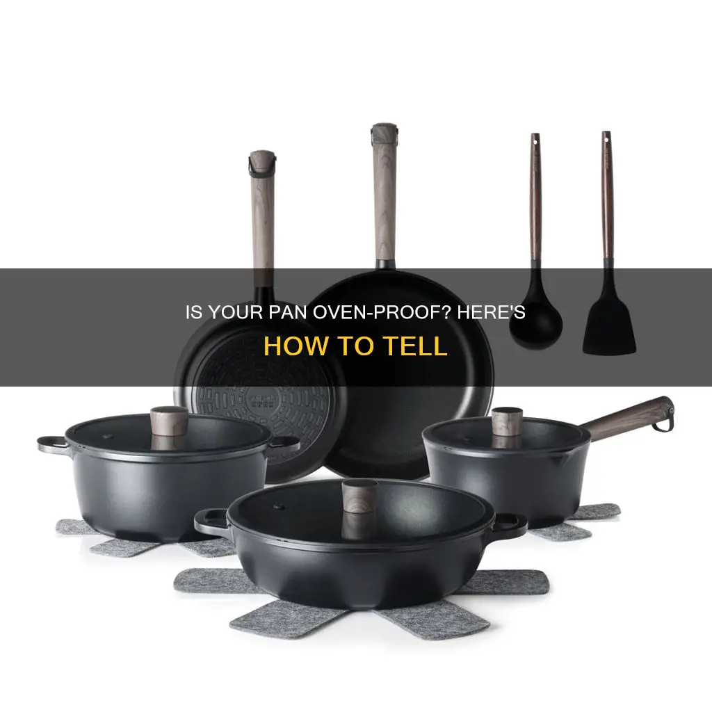 how can I tell if a pan is oven proof