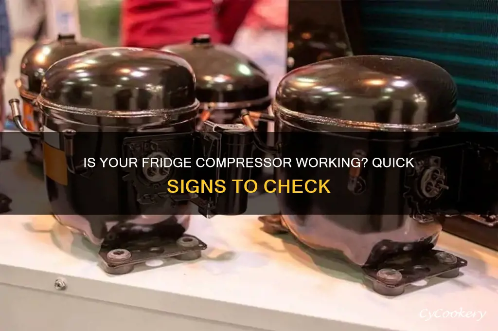 how can i tell if my refrigerator compressor is working