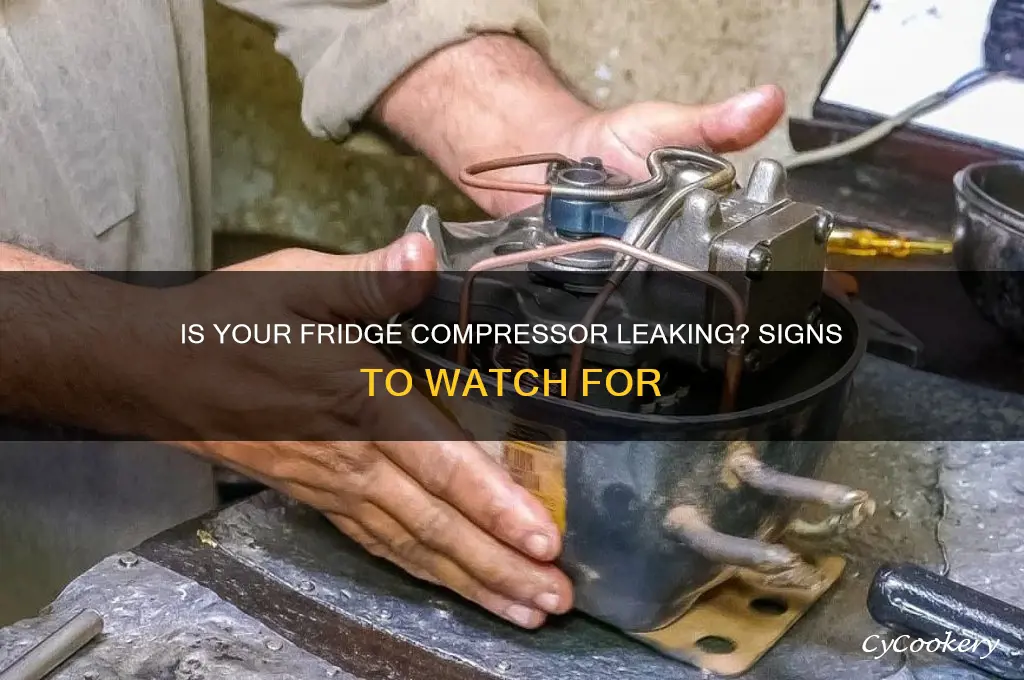 how can i tell if the refrigerator compressor is leaking