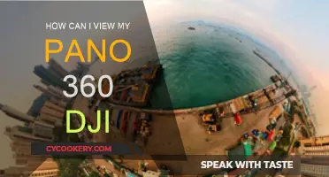 Exploring 360 Views with DJI Pano