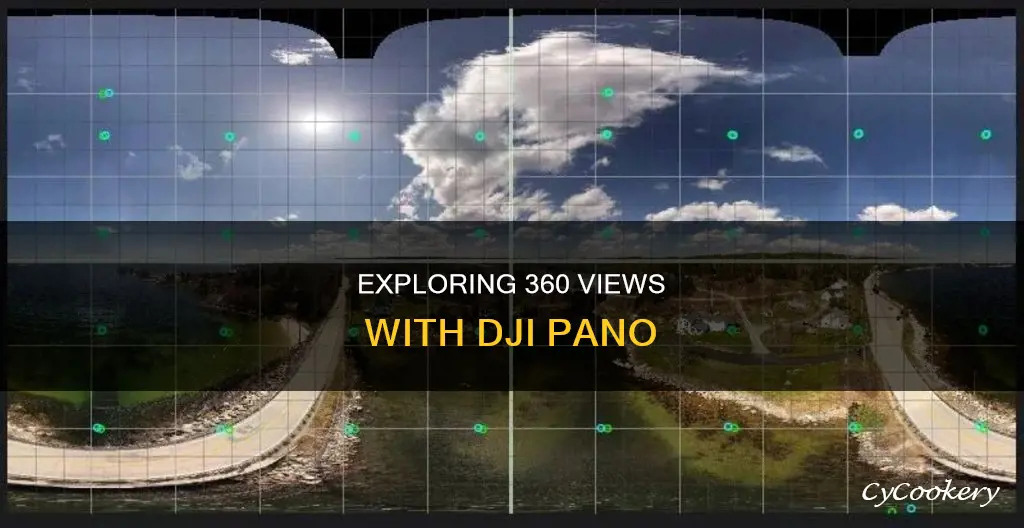 how can I view my pano 360 dji