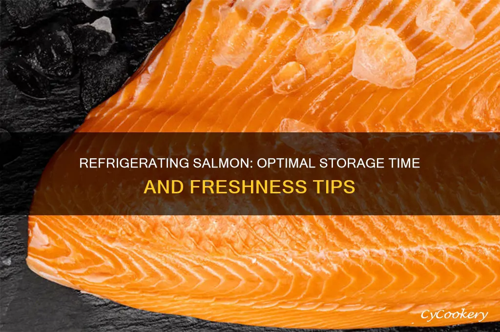 how can long can you refrigerate salmon