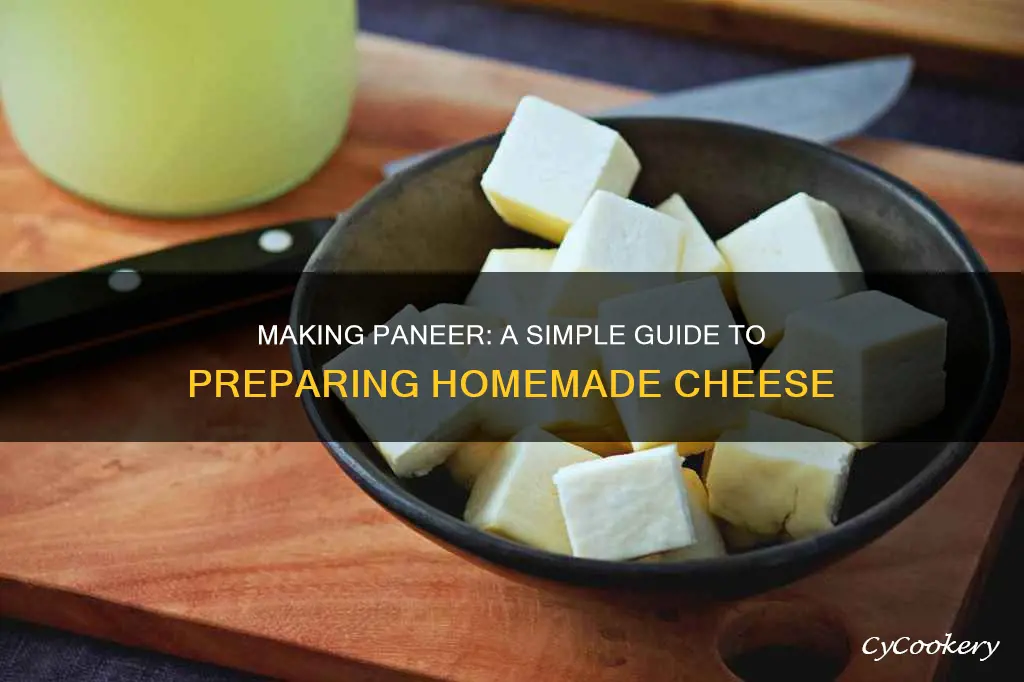 how can make paneer from milk