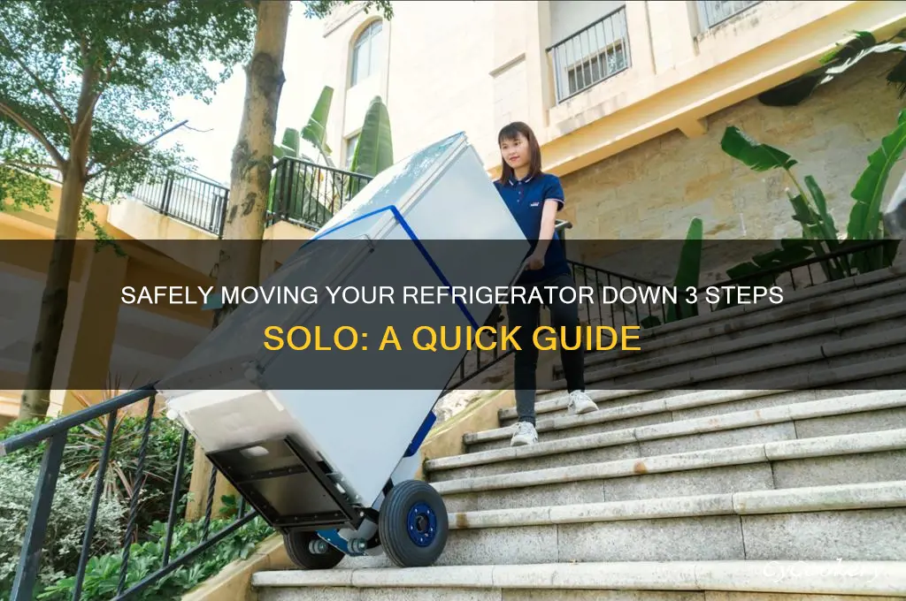 how can move a refrigerator 3 steps down by myself