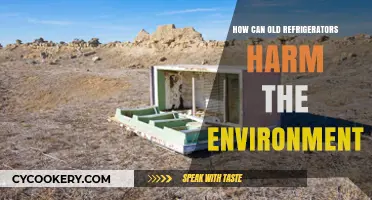 Old Fridges: Hidden Environmental Hazards and Sustainable Disposal Solutions