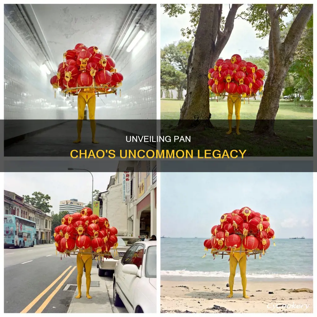 how can pan chao be viewed as unusual