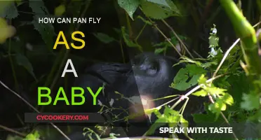 The Magic of Pan's Flight as a Baby