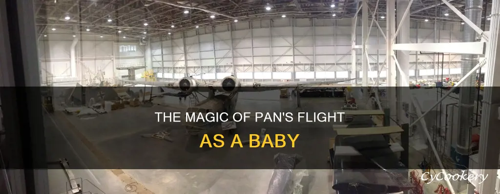 how can pan fly as a baby