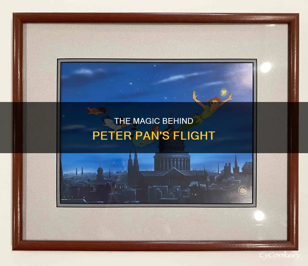 how can peter pan fly