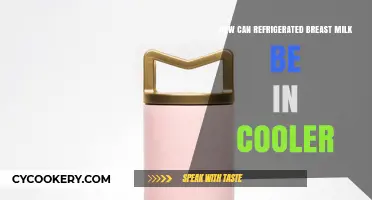Safe Storage Tips: Keeping Refrigerated Breast Milk Fresh in a Cooler