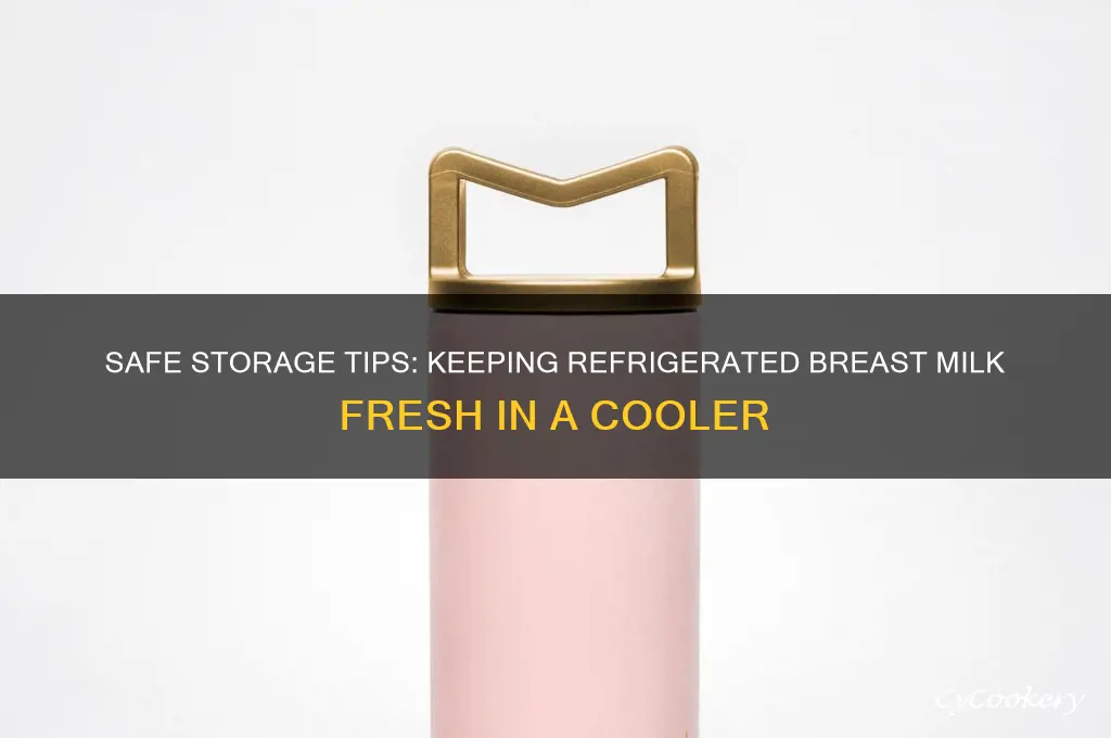 how can refrigerated breast milk be in cooler