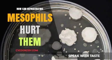 Refrigeration's Impact: How Cold Temperatures Harm Mesophilic Bacteria