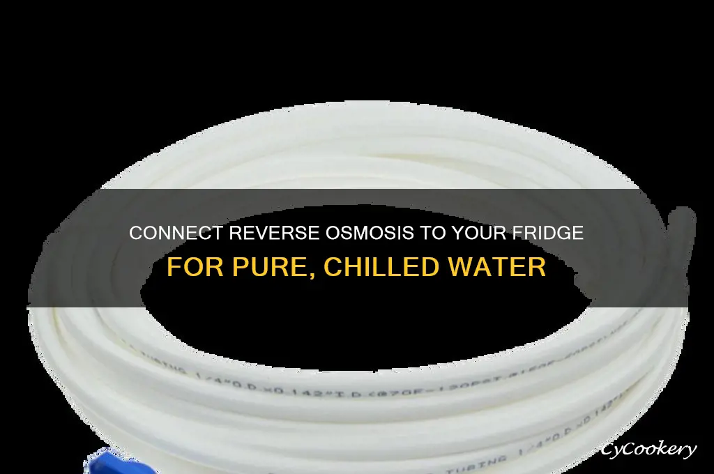 how can reverse osmosis system connected to refrigerator