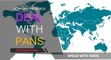 Addressing Global PAN Challenges: Strategies for a Secure Future
