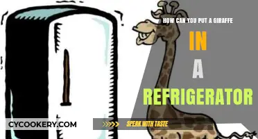 Creative Problem-Solving: How to Fit a Giraffe in a Fridge