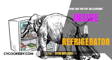 Creative Problem-Solving: Fitting an Elephant into a Refrigerator