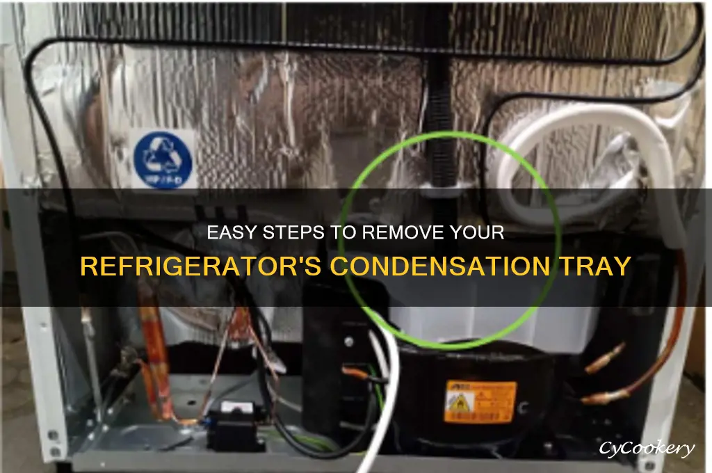 how can you remove the condensation tray under refrigerator