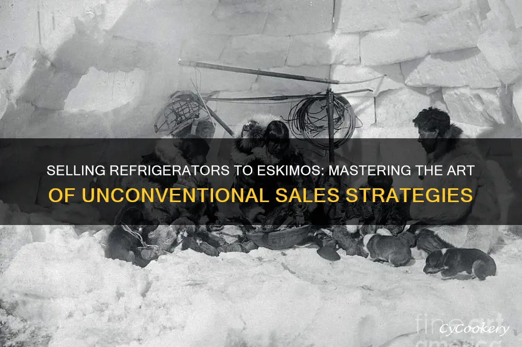 how can you sell refrigerator to an eskimo