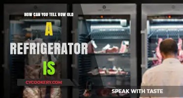 Determining Your Refrigerator's Age: A Simple Guide to Check