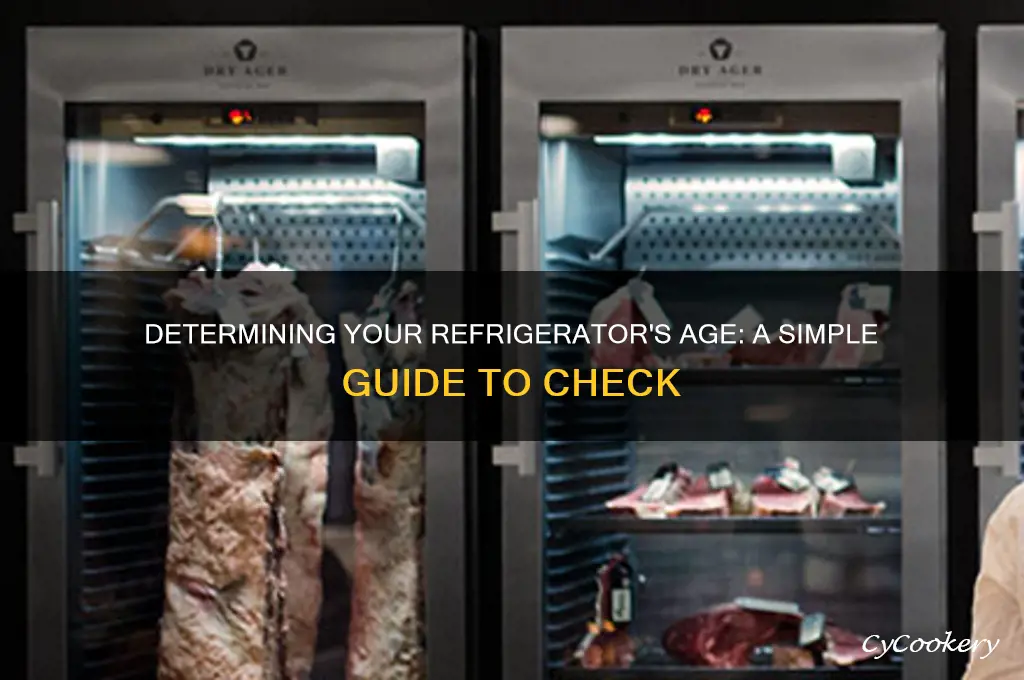 how can you tell how old a refrigerator is