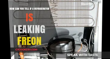 Signs Your Refrigerator is Leaking Freon: Quick Detection Tips
