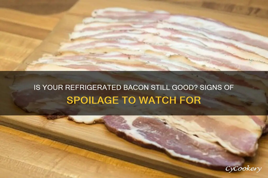 how can you tell if refrigerated bacon is bad