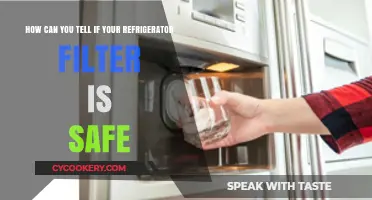 Is Your Fridge Filter Safe? Key Signs to Check Now
