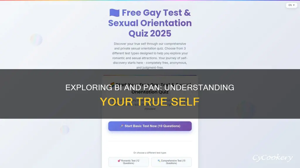 how can you tell if youre bi or pan