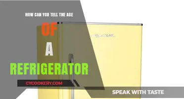 Determining Your Refrigerator's Age: A Simple Guide to Identification