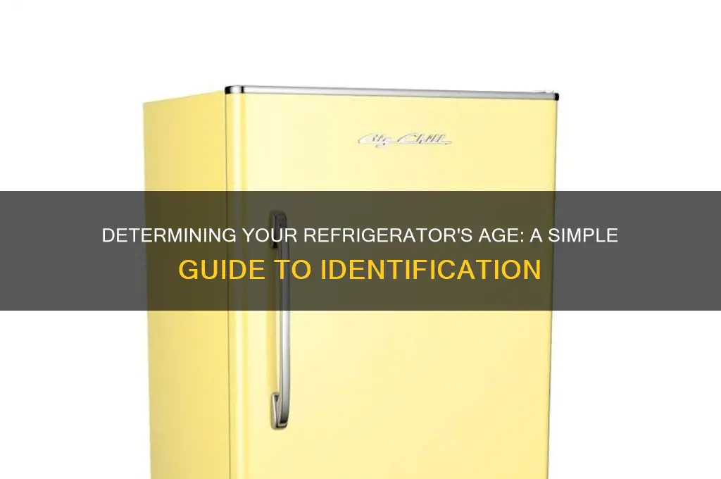 how can you tell the age of a refrigerator