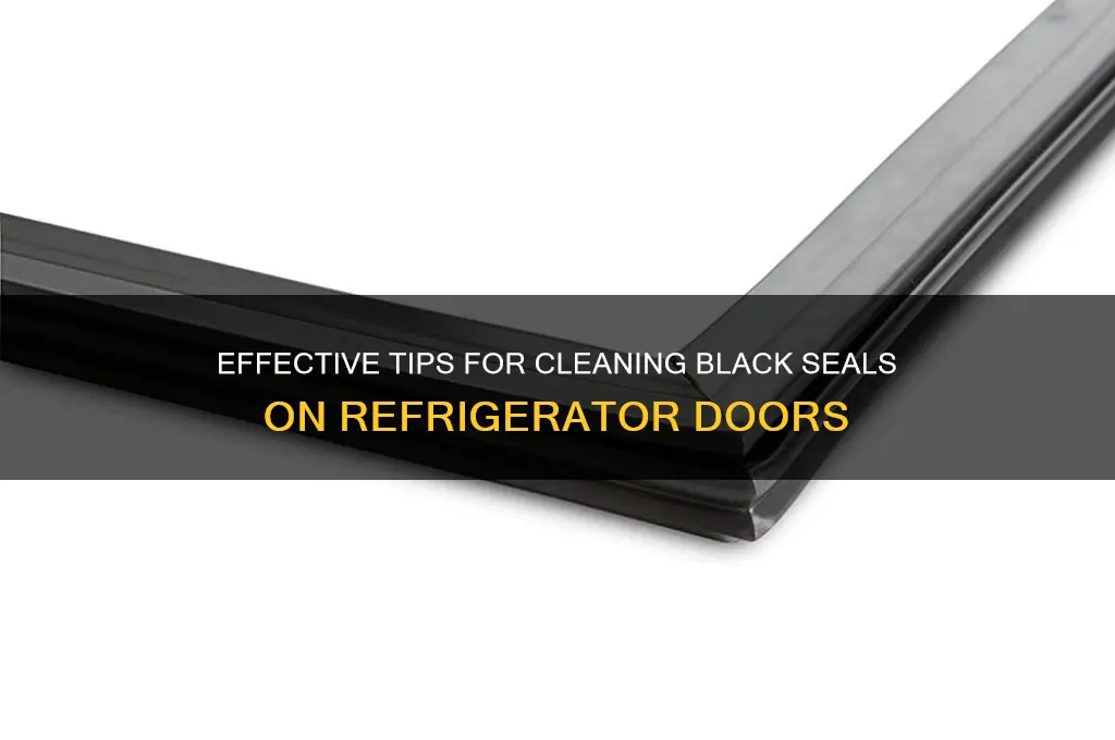 how clean black seals on refrigerator doors