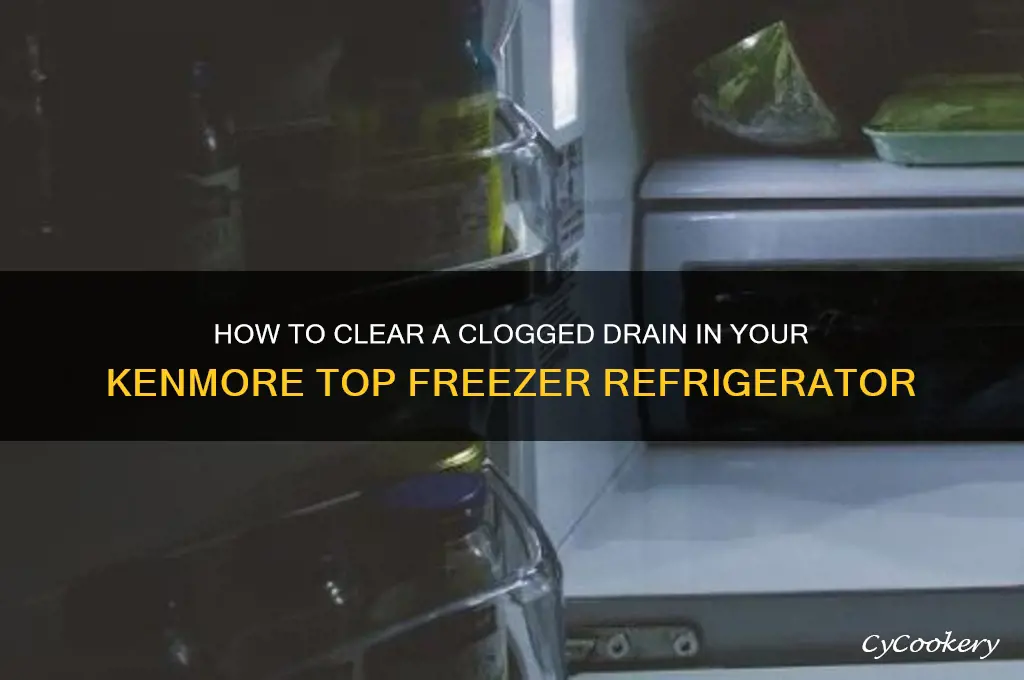 how clear drain kenmore top freezer refrigerator