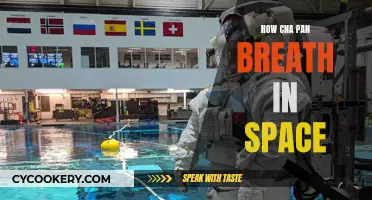 Space Exploration: How Can Pan Breathe?