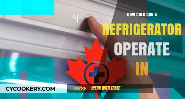 Optimal Refrigerator Temperature: How Cold Can It Safely Operate?