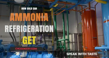 Ammonia Refrigeration: Exploring Extreme Cold Temperatures and Applications