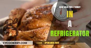 Safe Refrigerator Temps: How Cold Should Your Turkey Be Stored?
