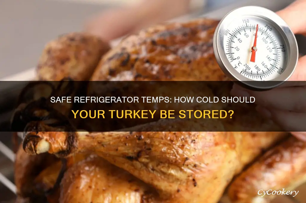 how cold for a turkey in a refrigerator