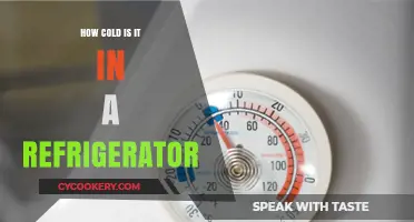 Chilling Truth: Uncovering the Frigid Temperatures Inside Your Refrigerator