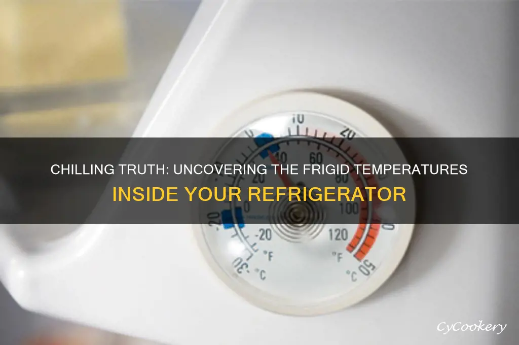 how cold is it in a refrigerator