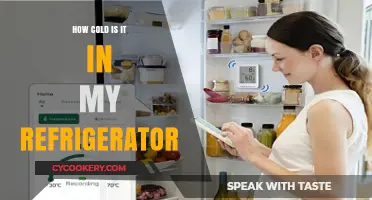 Chilling Truth: Uncovering Your Fridge's Ideal Temperature Range