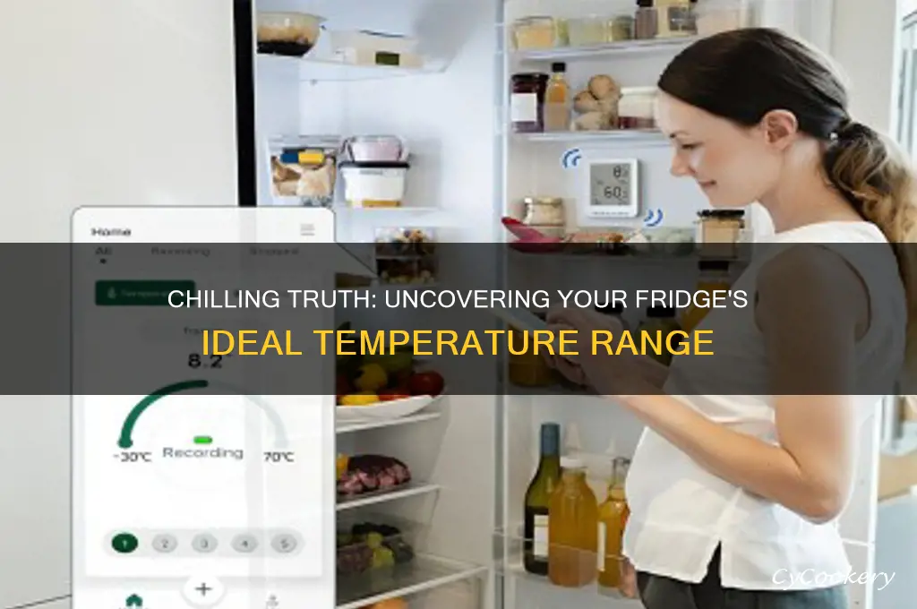 how cold is it in my refrigerator