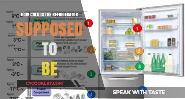 Optimal Fridge Temperature: How Cold Should Your Refrigerator Be?