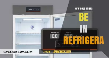 Chilling Truth: Optimal Refrigerator Temperatures to Keep Food Fresh