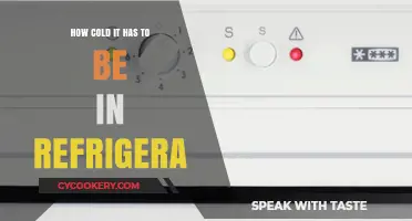 Chilling Facts: Optimal Refrigerator Temperatures to Keep Food Fresh