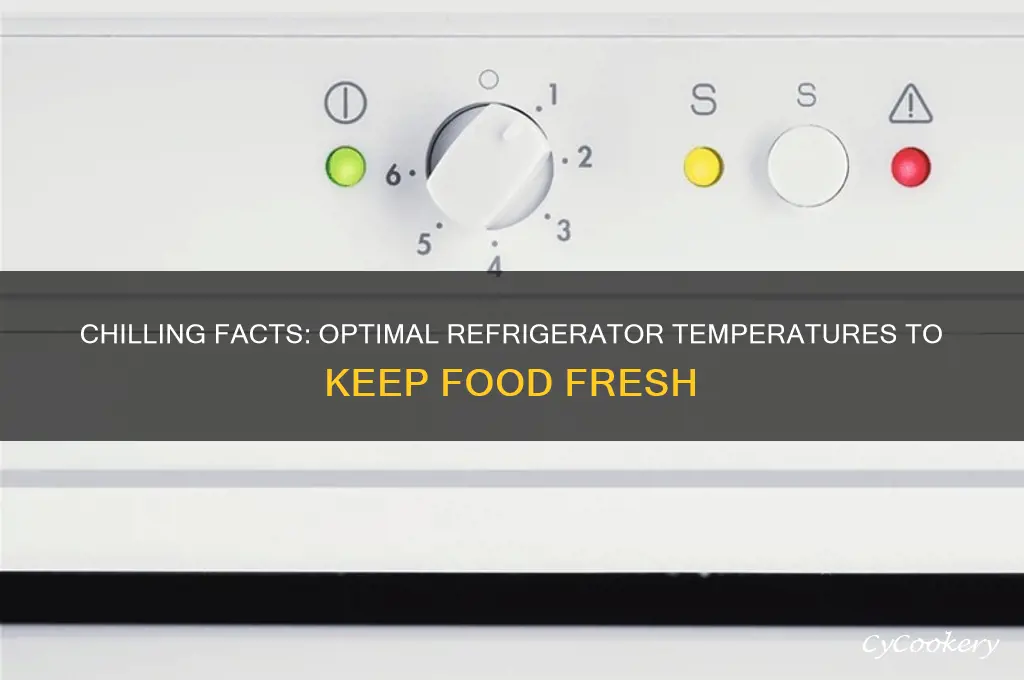 how cold it has to be in refrigera