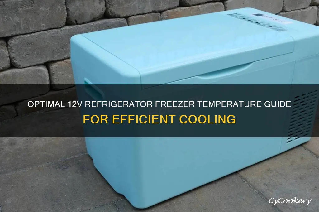 how cold should 12v refrigerator freezer be